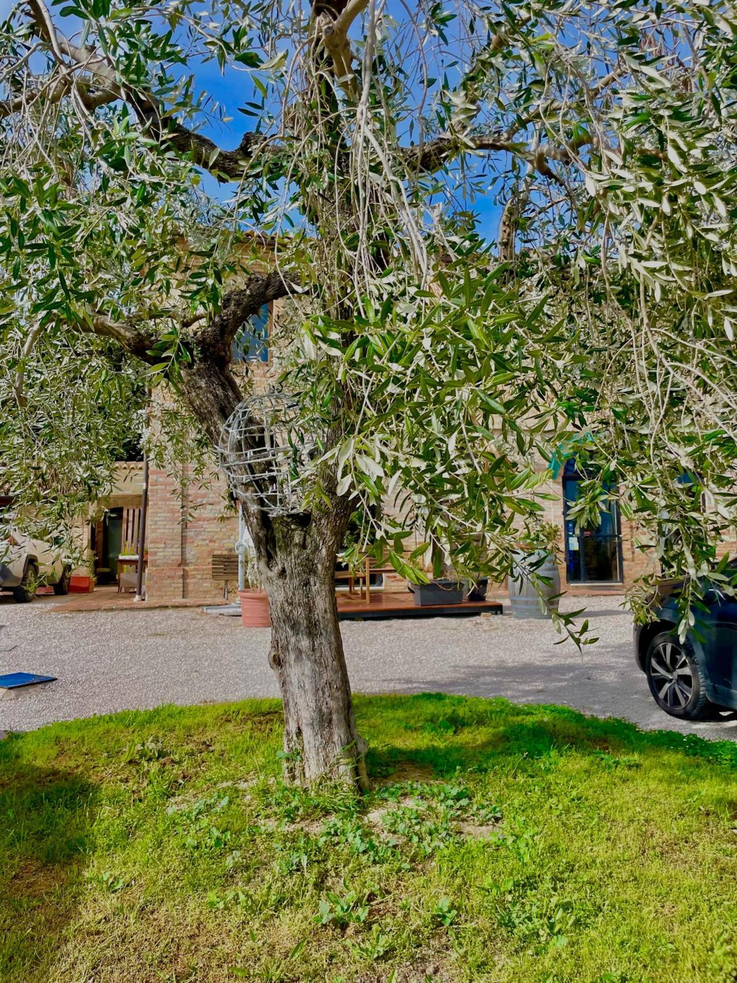Masseria Tattoni - Residenza Di Campagna - Narramondo Villas Bellante Bagian luar foto